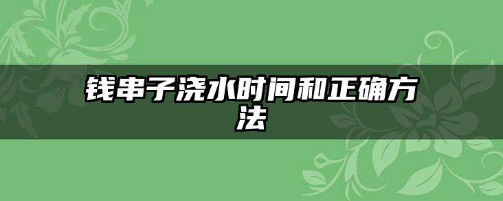 钱串子浇水时间和正确方法