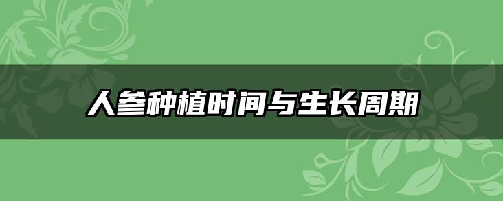 人参种植时间与生长周期