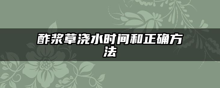 酢浆草浇水时间和正确方法