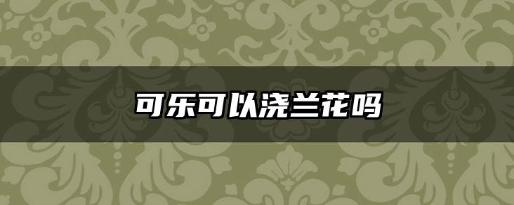 可乐可以浇兰花吗