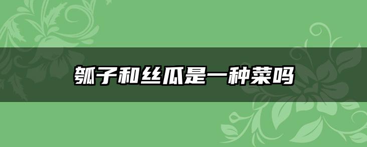 瓠子和丝瓜是一种菜吗