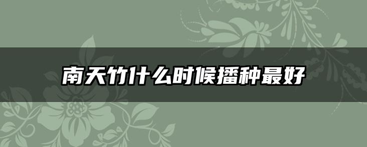 南天竹什么时候播种最好