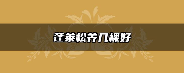 蓬莱松养几棵好