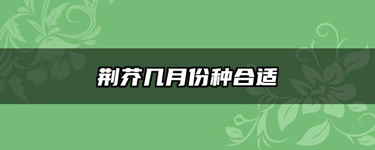 荆芥几月份种合适