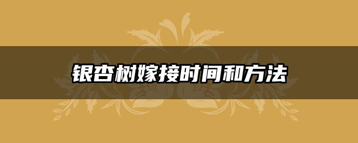 银杏树嫁接时间和方法