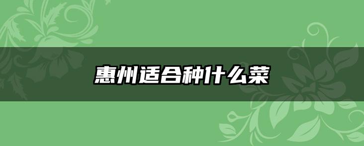 惠州适合种什么菜