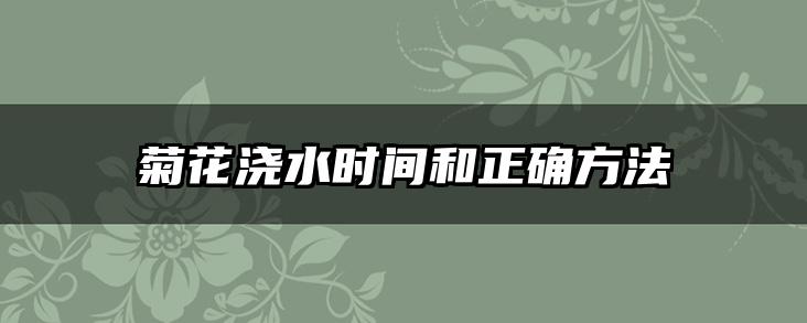 菊花浇水时间和正确方法