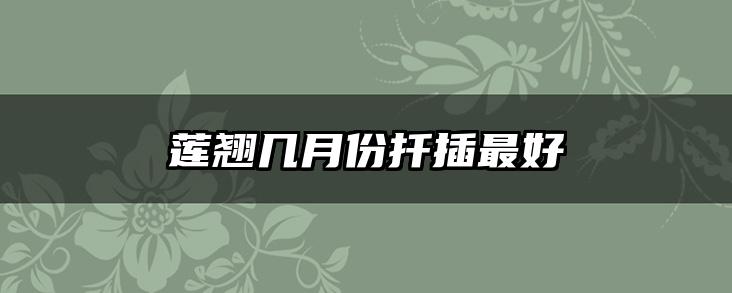 莲翘几月份扦插最好