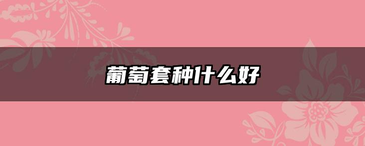 葡萄套种什么好