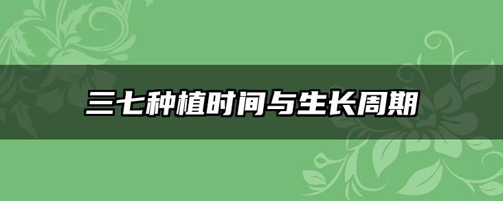 三七种植时间与生长周期