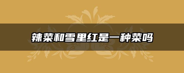 辣菜和雪里红是一种菜吗