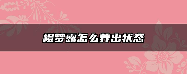 橙梦露怎么养出状态