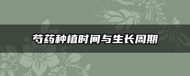 芍药种植时间与生长周期