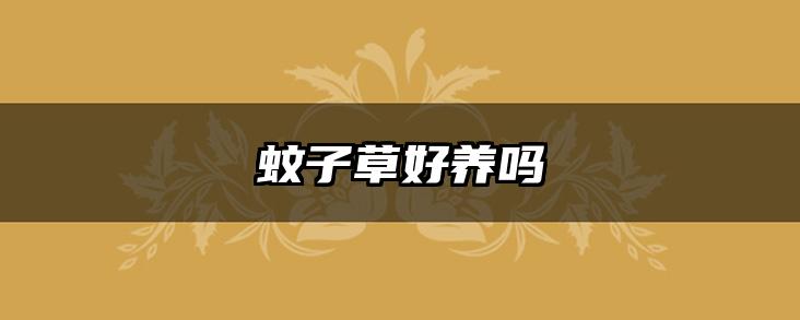 蚊子草好养吗
