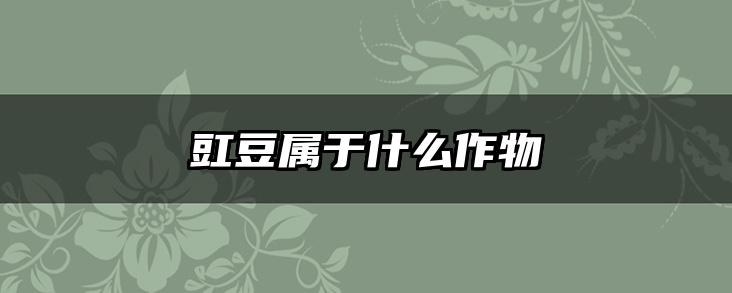 豇豆属于什么作物