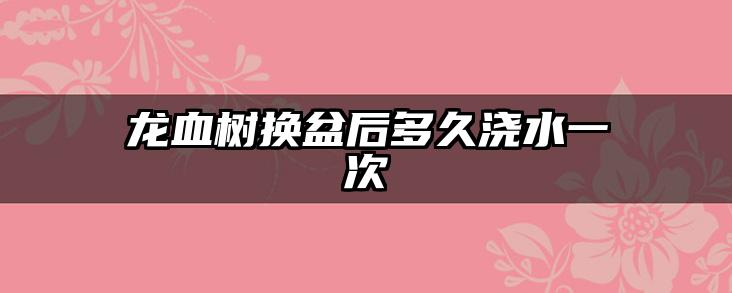 龙血树换盆后多久浇水一次