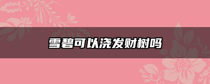 雪碧可以浇发财树吗