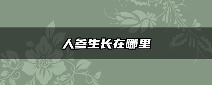 人参生长在哪里