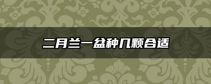 二月兰一盆种几颗合适