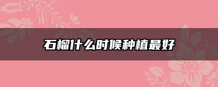 石榴什么时候种植最好