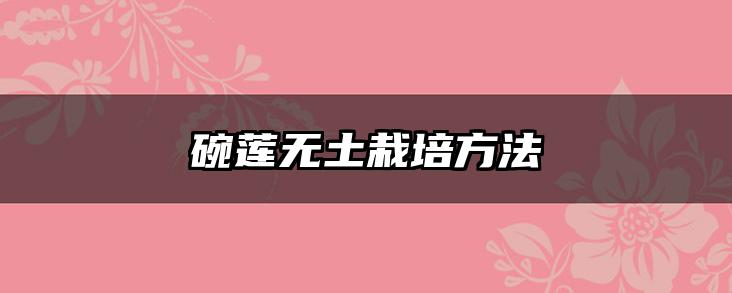 碗莲无土栽培方法