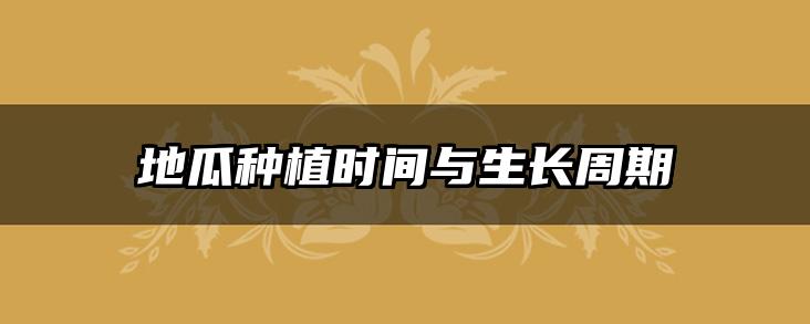 地瓜种植时间与生长周期