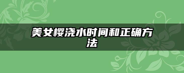美女樱浇水时间和正确方法