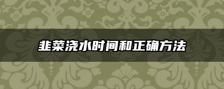 韭菜浇水时间和正确方法