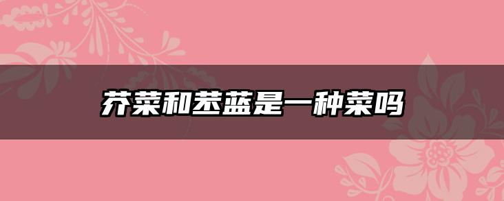 芥菜和苤蓝是一种菜吗