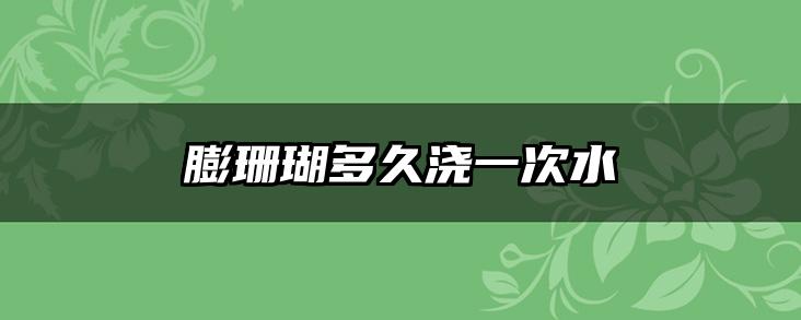 膨珊瑚多久浇一次水