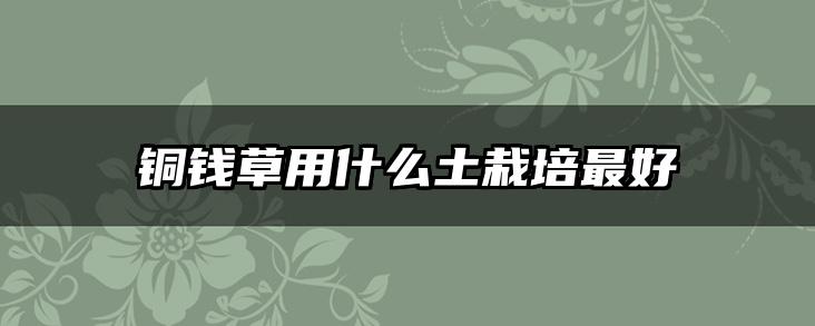 铜钱草用什么土栽培最好