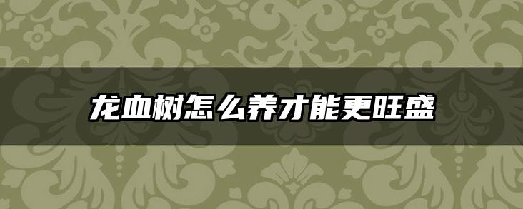 龙血树怎么养才能更旺盛