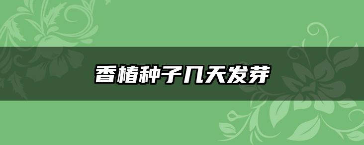 香椿种子几天发芽