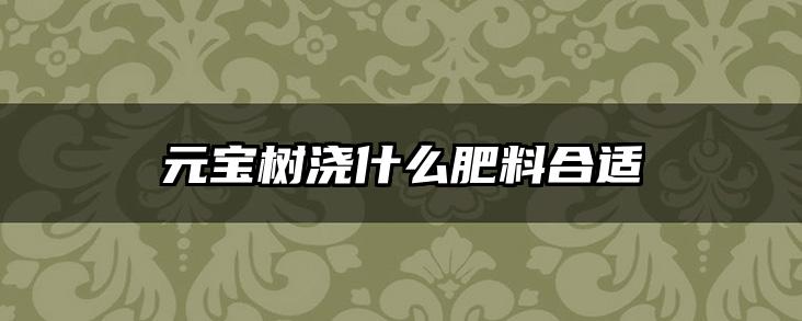 元宝树浇什么肥料合适