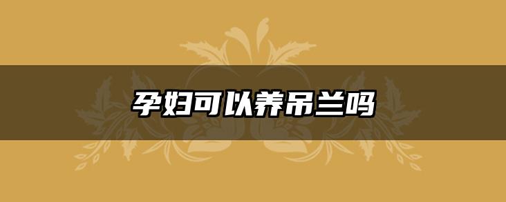 孕妇可以养吊兰吗