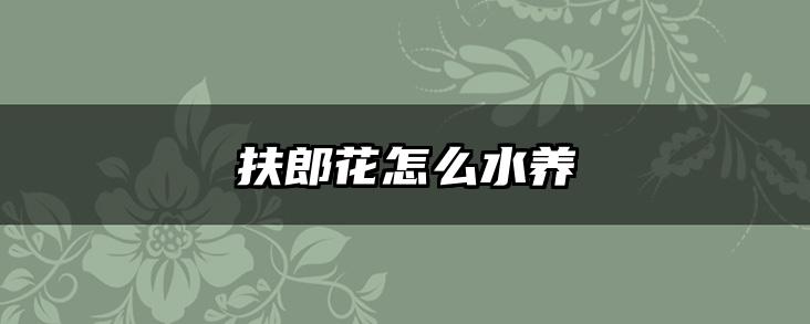 扶郎花怎么水养