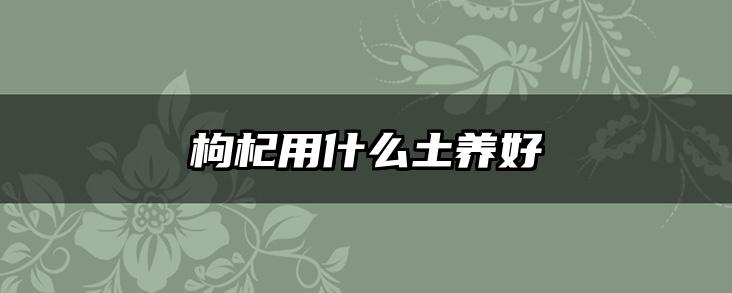 枸杞用什么土养好