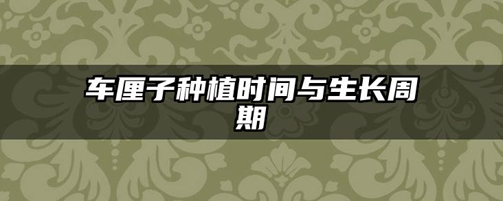车厘子种植时间与生长周期