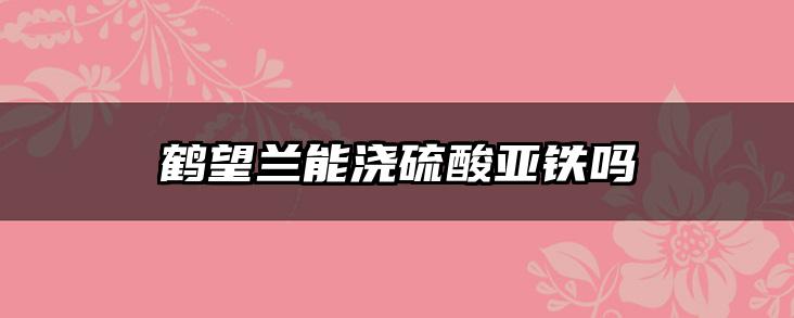 鹤望兰能浇硫酸亚铁吗