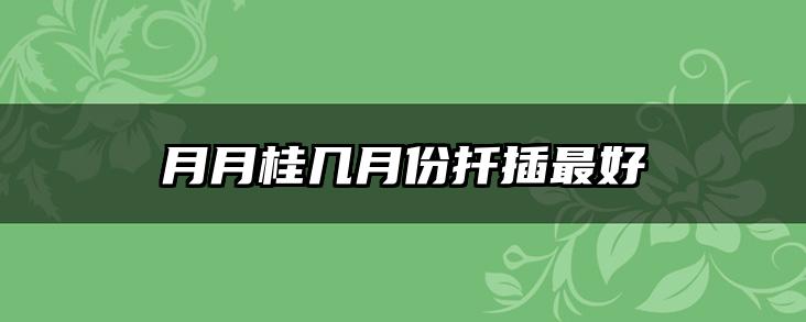 月月桂几月份扦插最好