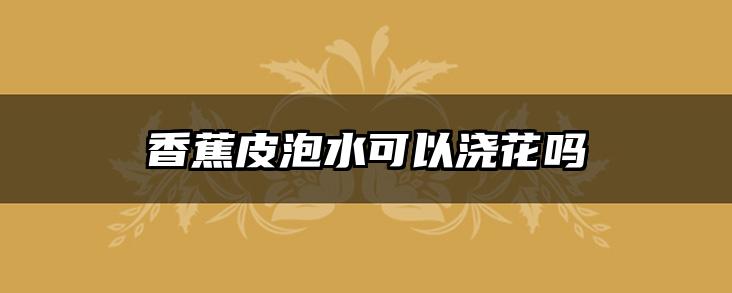 香蕉皮泡水可以浇花吗