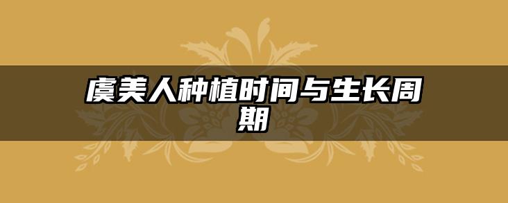 虞美人种植时间与生长周期