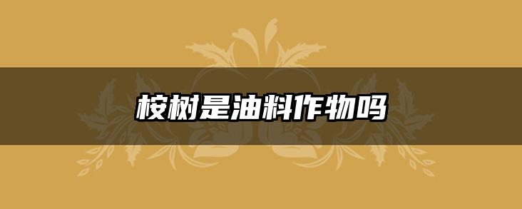 桉树是油料作物吗