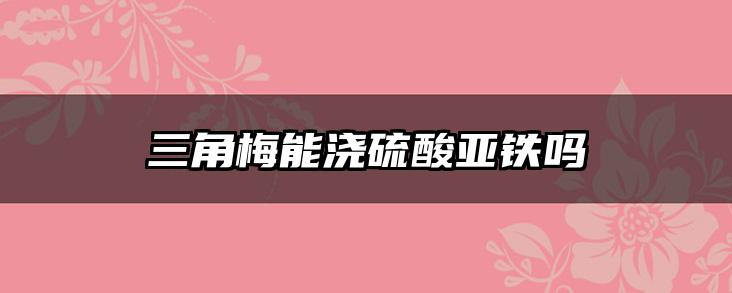 三角梅能浇硫酸亚铁吗