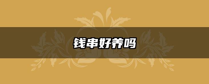 钱串好养吗