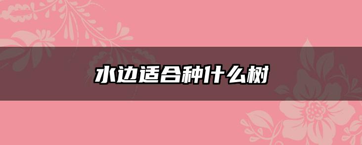 水边适合种什么树