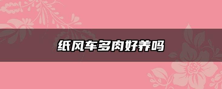 纸风车多肉好养吗