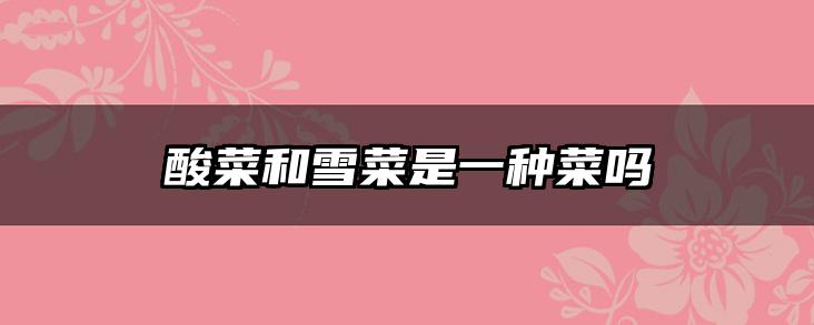 酸菜和雪菜是一种菜吗
