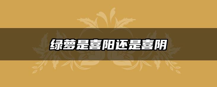 绿萝是喜阳还是喜阴