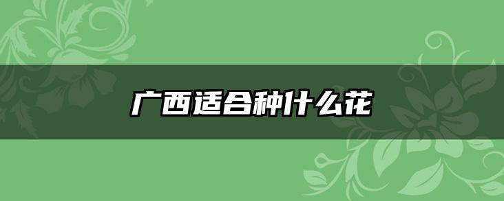 广西适合种什么花